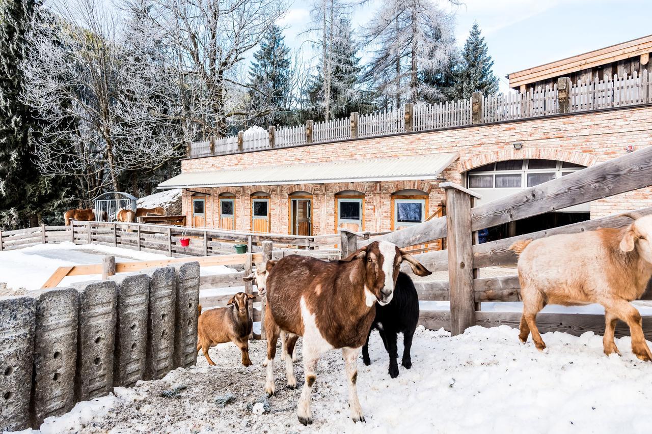 운테르타우언 Peakini Farmhaus 빌라 외부 사진
