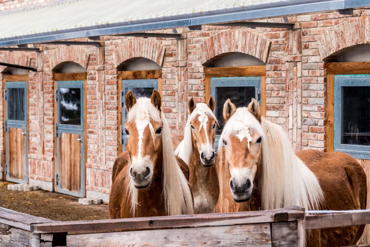 운테르타우언 Peakini Farmhaus 빌라 외부 사진